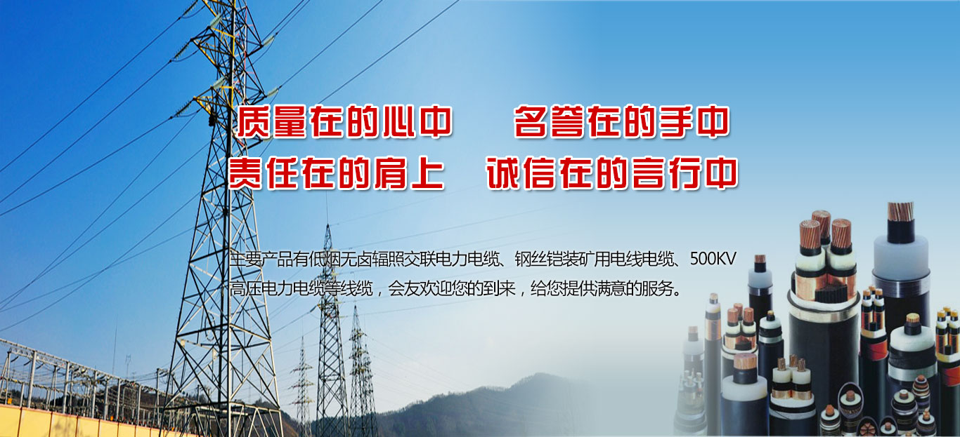 滄州會(huì)友線(xiàn)纜股份有限公司