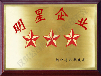 明星企業(yè)